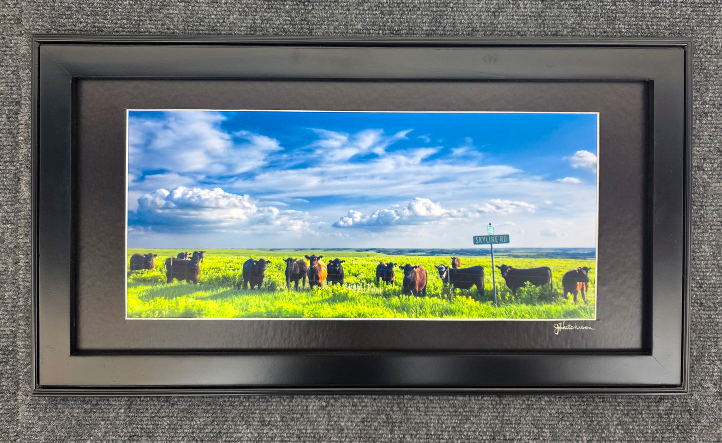 10 x 20 Matted and Framed