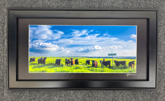 10 x 20 Matted and Framed