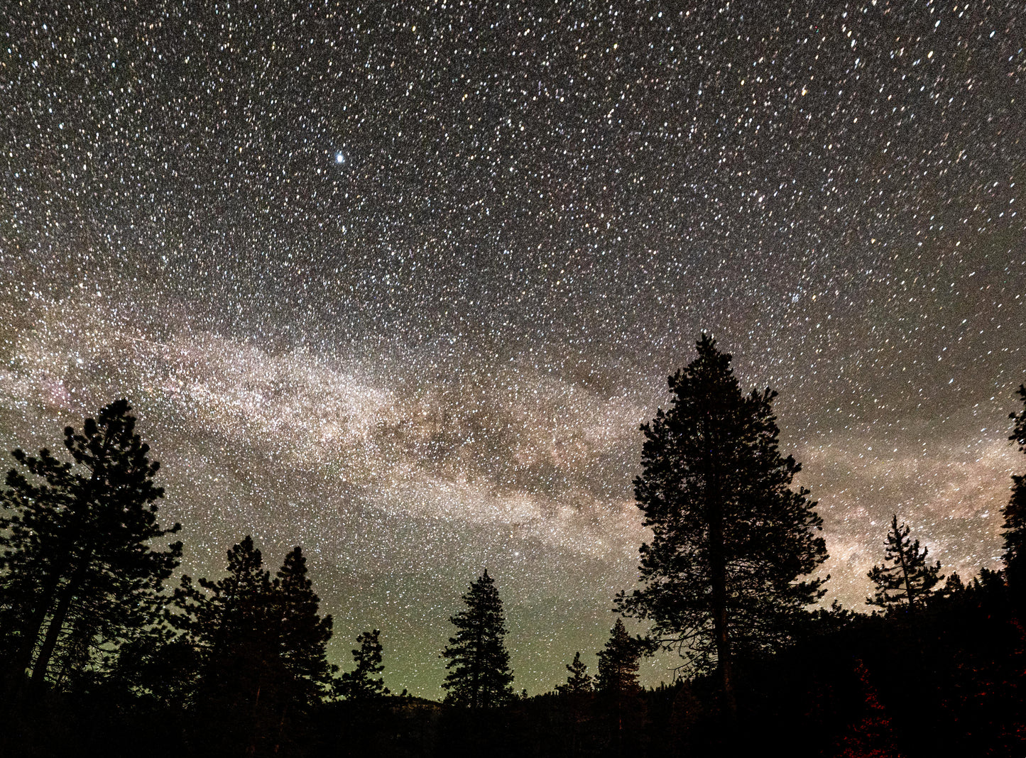 CA0021 - Starry Skies Through the Ponderosa Pines