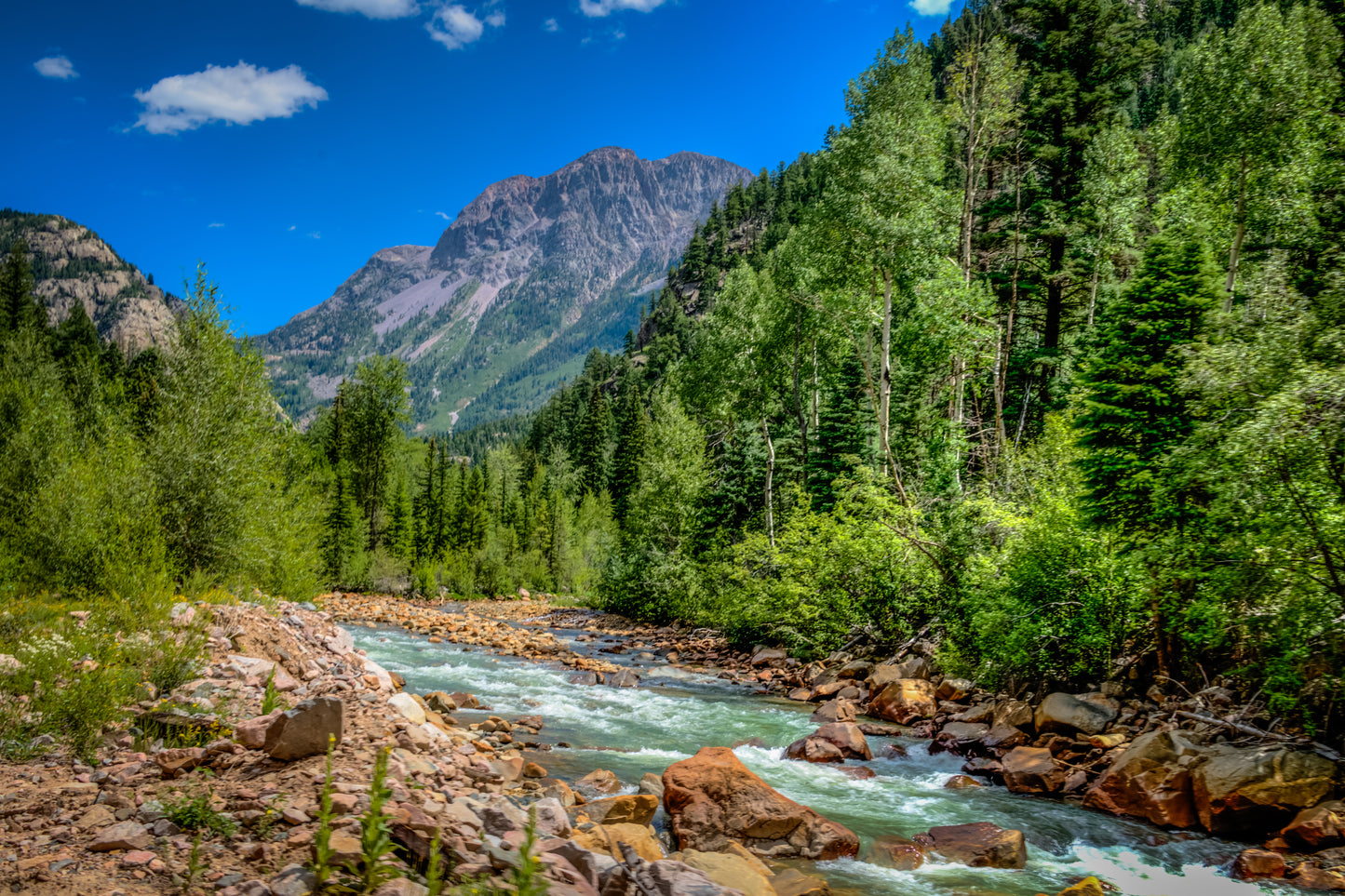 COL0049 - The Animas River