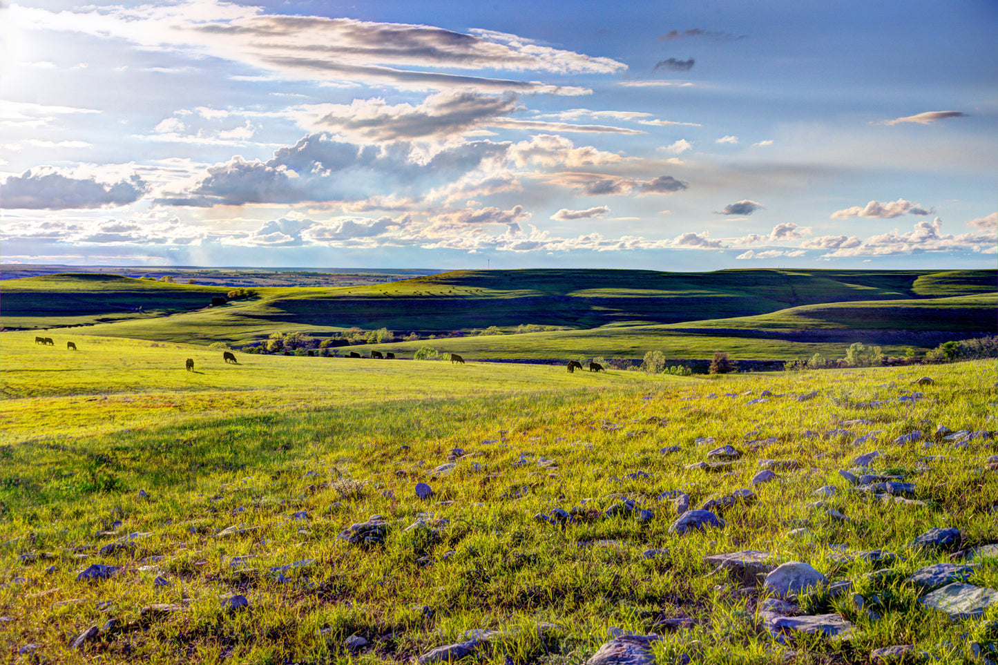 FH0041 - Springtime in the Flint Hills