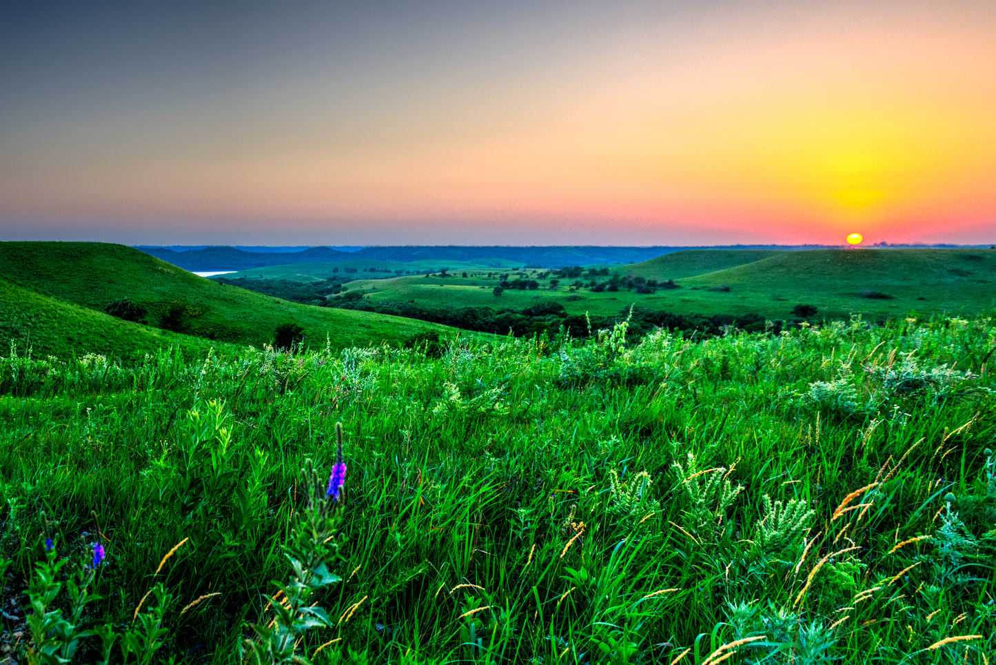 FH0070 - Sunset Along Wildflower Road