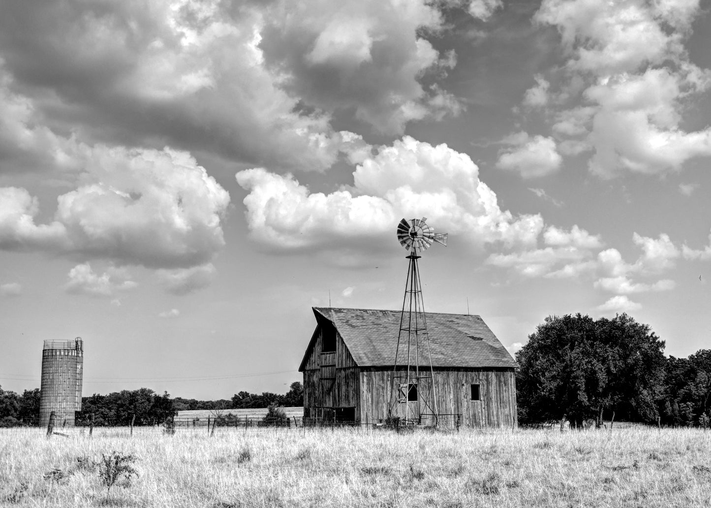 FR0003 - Still Standing Proud (B&W)
