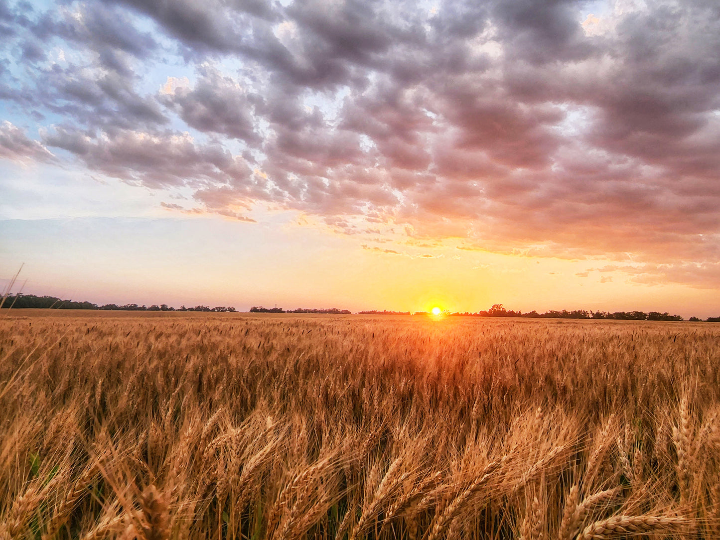 KS0022 - Golden Sunset in Saline County