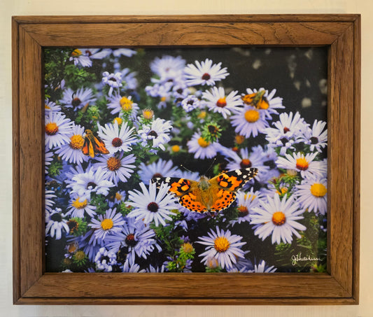 Frame Choices - Hickory With Provincial Stain