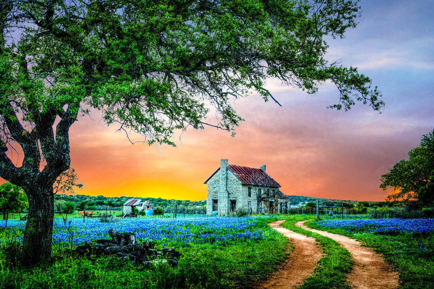 TX0001 - Road to the Bluebonnet House