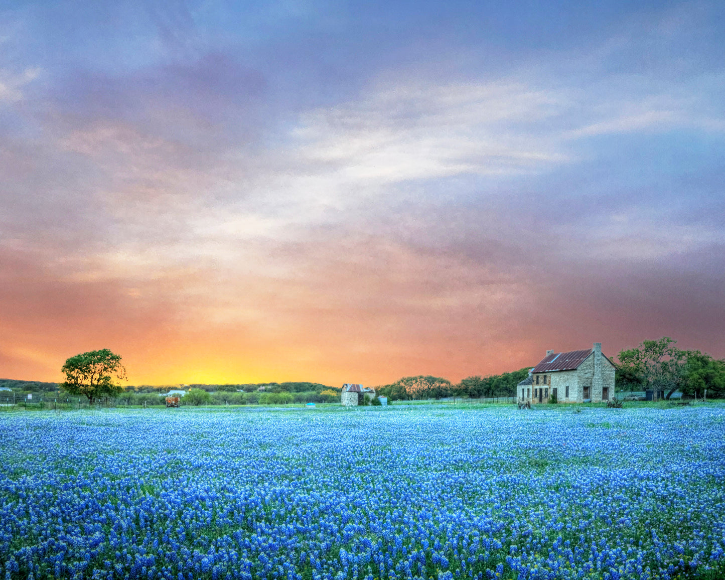 TX0003 - Sunset at the Bluebonnet House