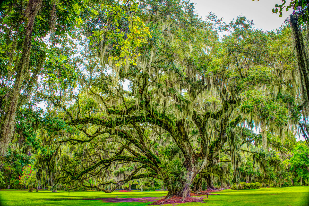 South Carolina