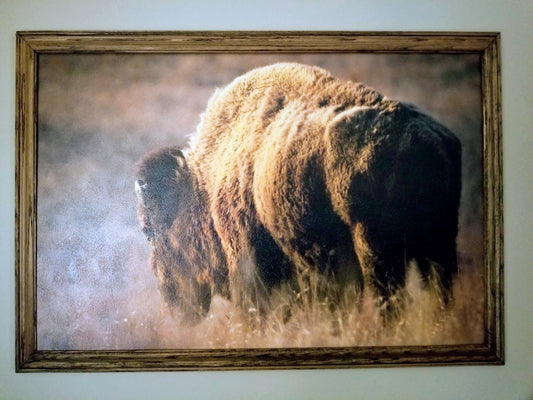 Frame Choices - Large Profile, Oak with Provincial Stain