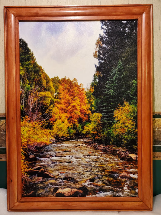 Frame Choices - Large Profile, Stained