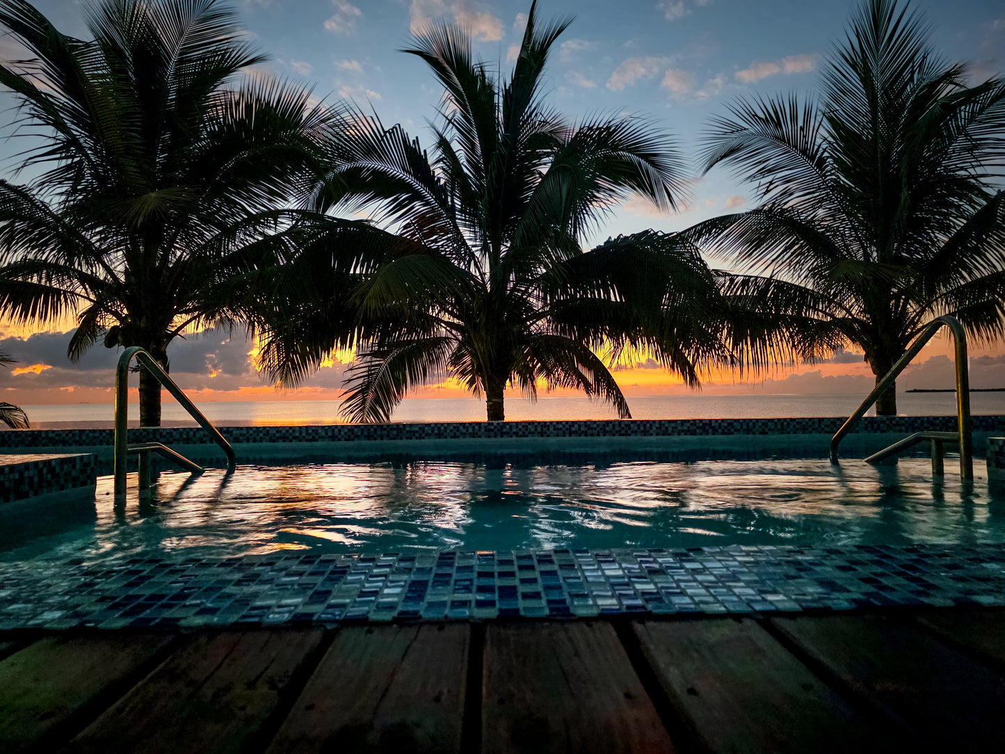 BE0007 - Palms and Pool