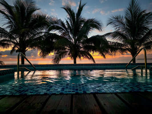 BE0007 - Palms and Pool