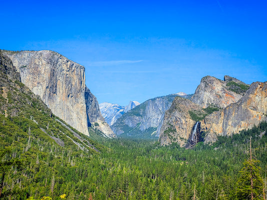 CA0026 - The Lush Yosemite Valley From Tunnel View
