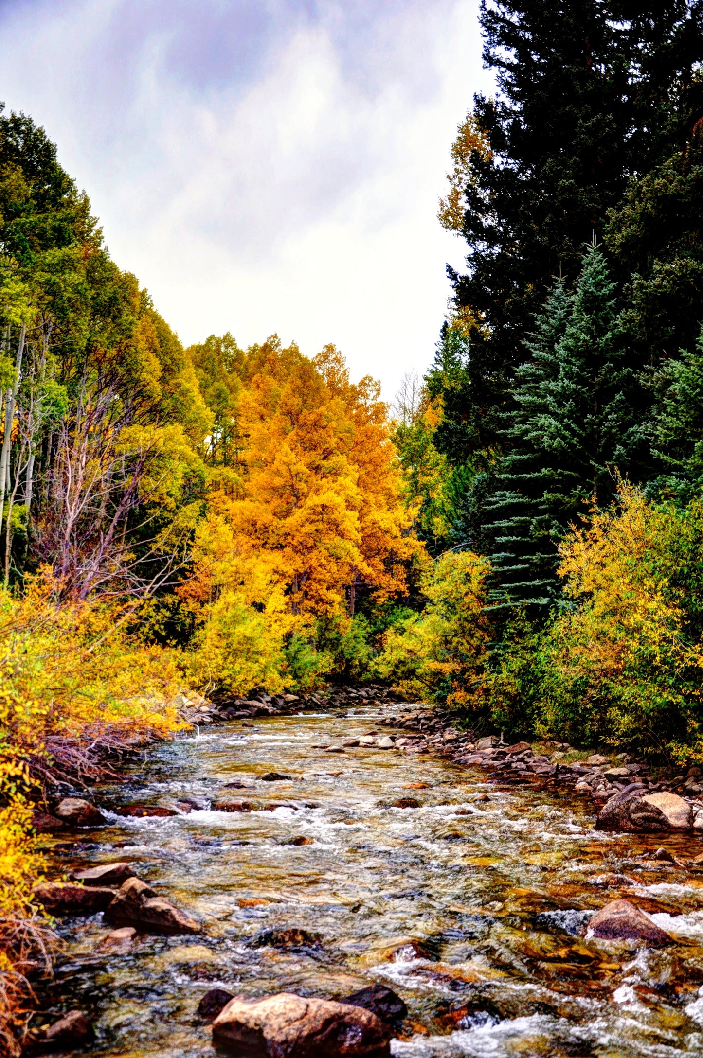 COL0003 - Chalk Creek Splendor