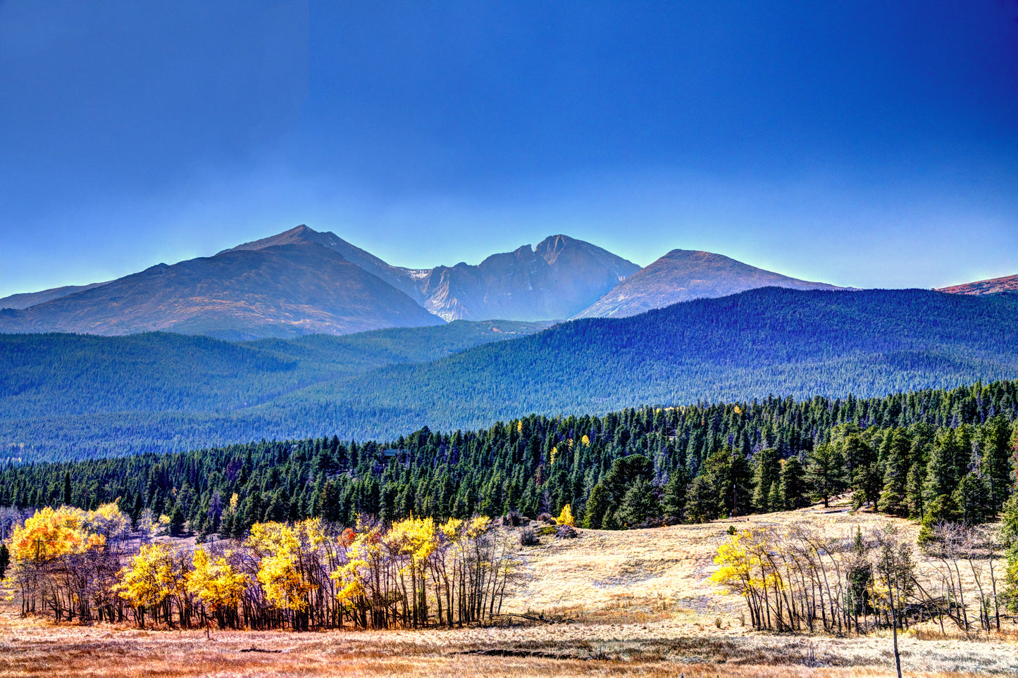 COL0051 - Longs Peak in Autumn