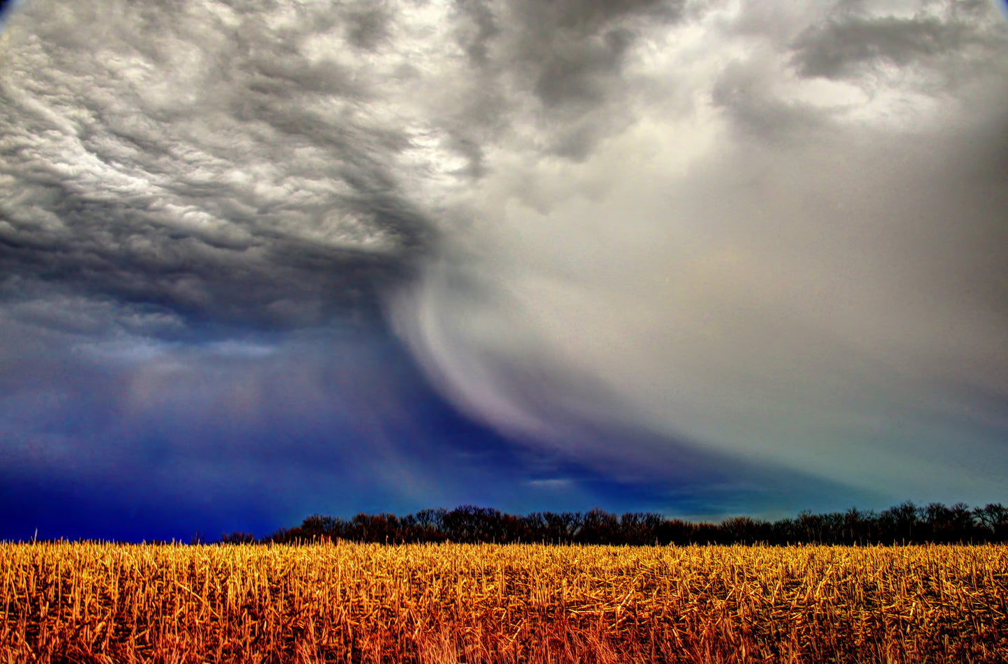 DG0009 - February Storm on the Plains