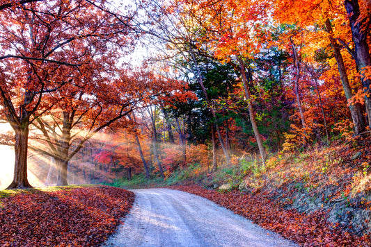 DG0018 - Turn Into the Evening Light