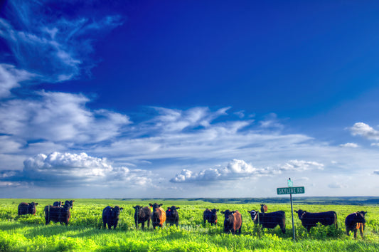 FH0012 - Lunch Break