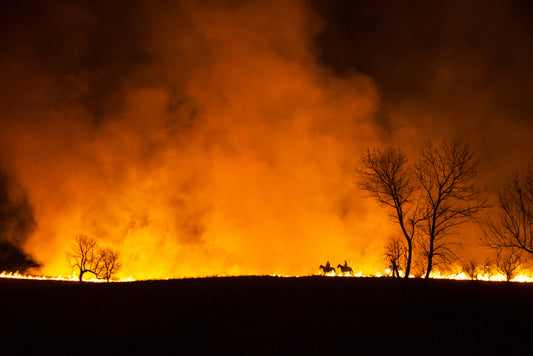 FH0018 - Light Up the Night