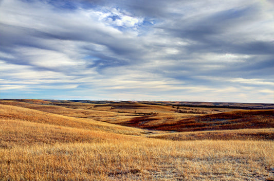 FH0036 - Flint Hills Tapestry
