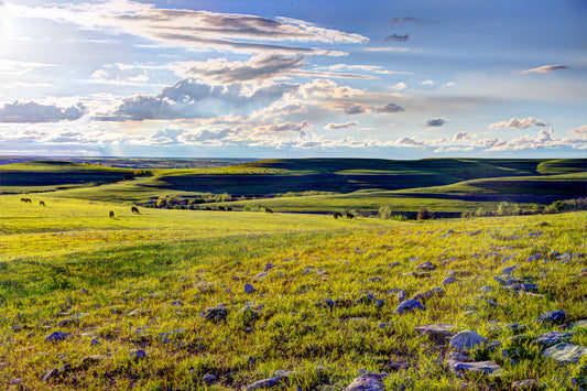 FH0041 - Springtime in the Flint Hills