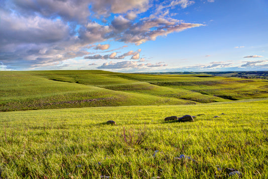 FH0042 - Flint Hills Spring Evening