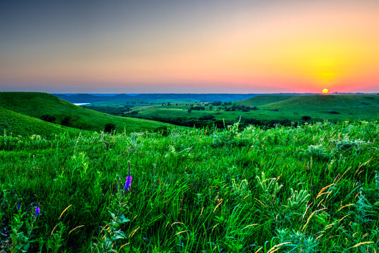 FH0070 - Sunset Along Wildflower Road