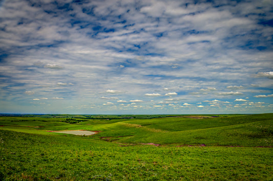 FH0132 - Spring Pastures Along Skyline Drive