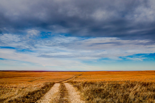 FH0145 - Road Through the Grasslands