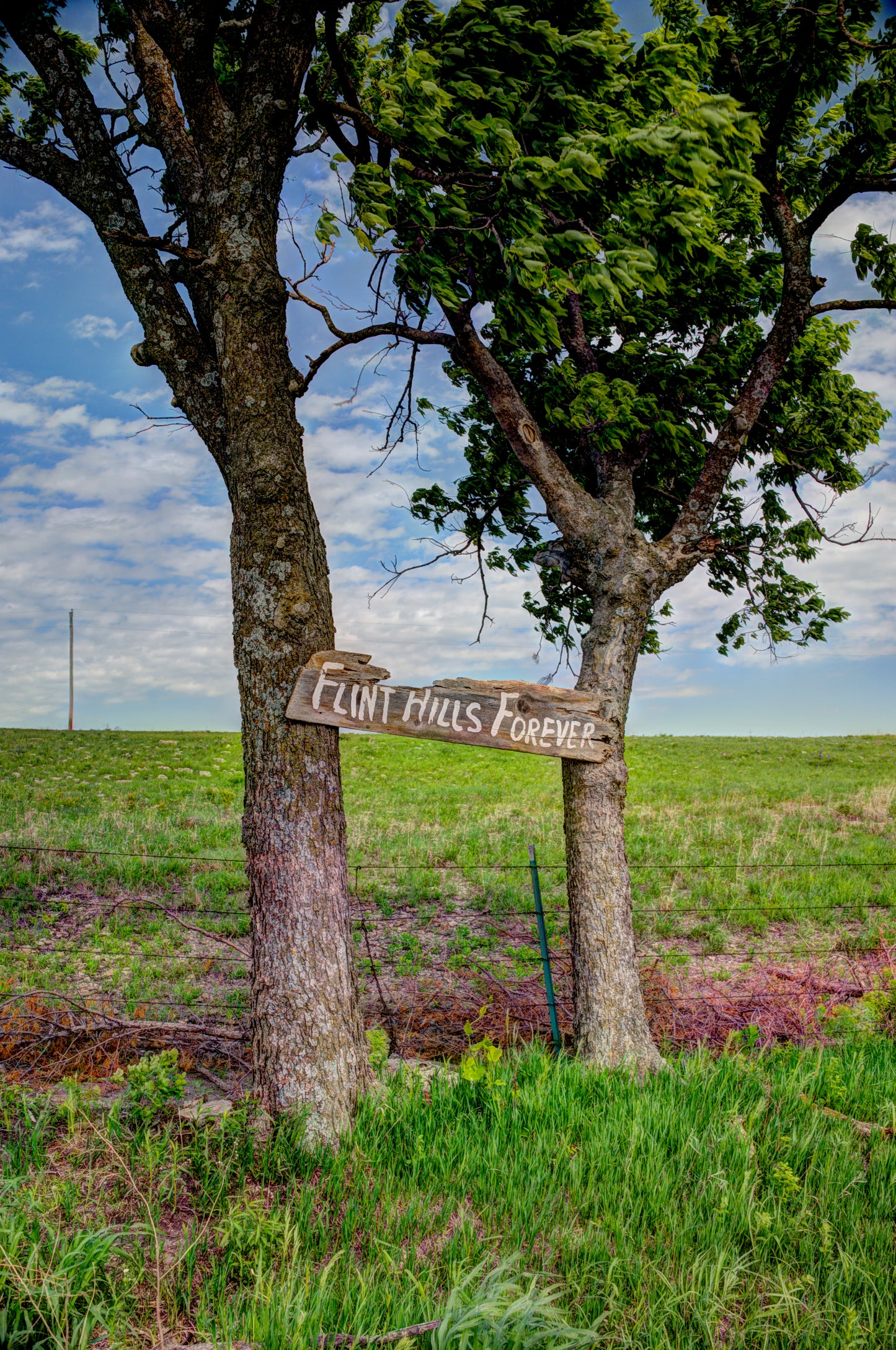 FH0160 - Flint Hills Forever