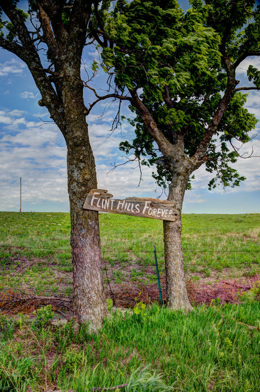 FH0160 - Flint Hills Forever