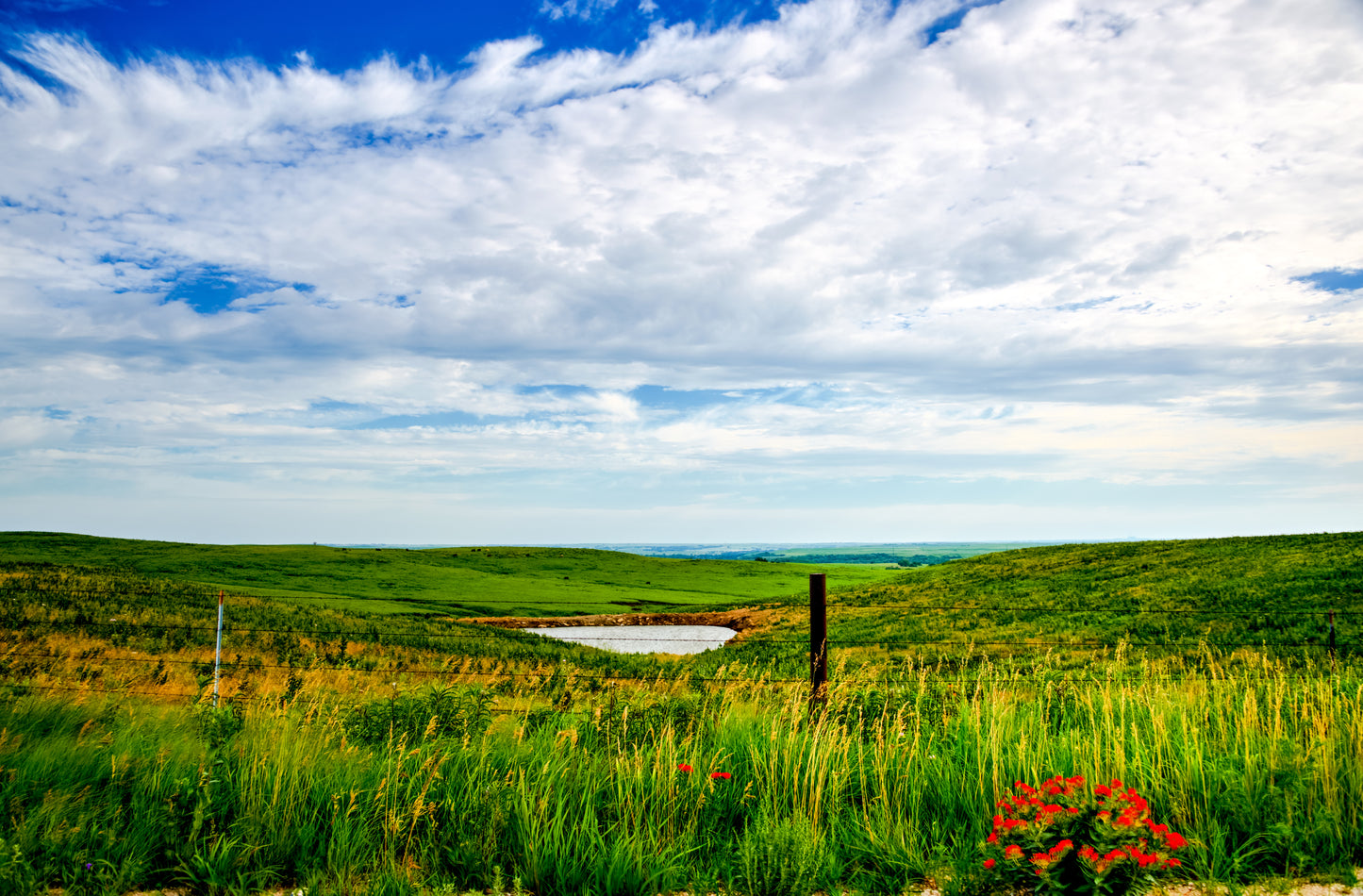FH0169 - Flint Hills in Bloom