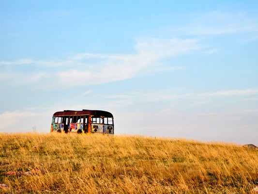 FH0174 - Hippy Van on the Hill