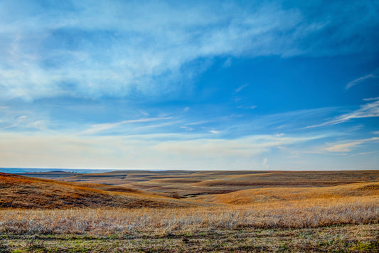 FH0177 - Rolling Plains