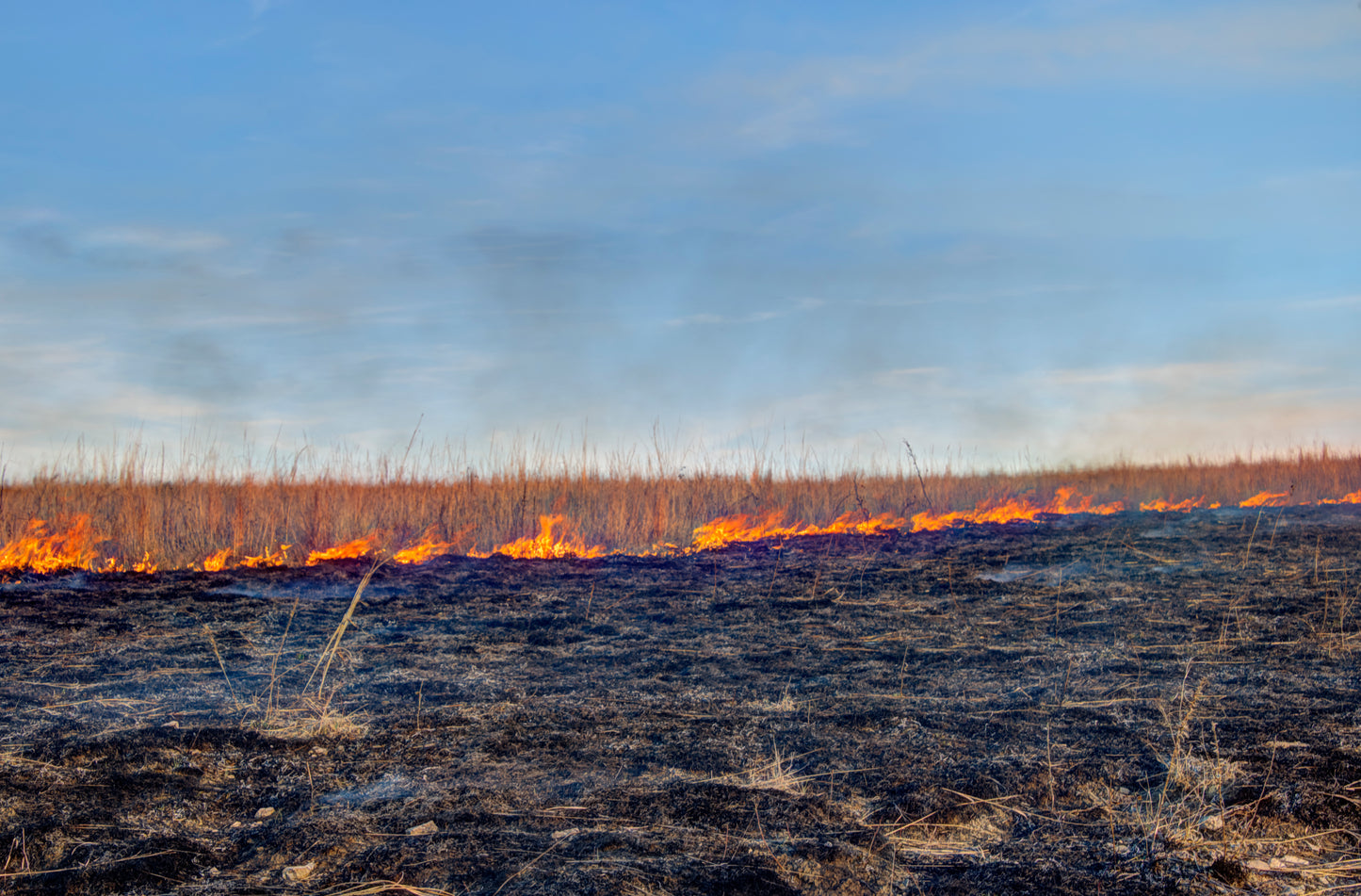 FH0178 - Spring Burn