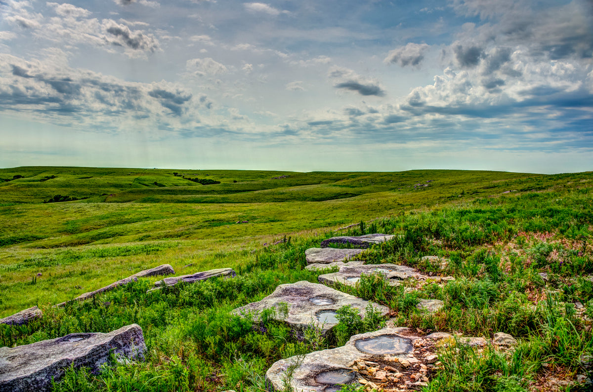 FH0179 - The Prairie After a Summer Rain