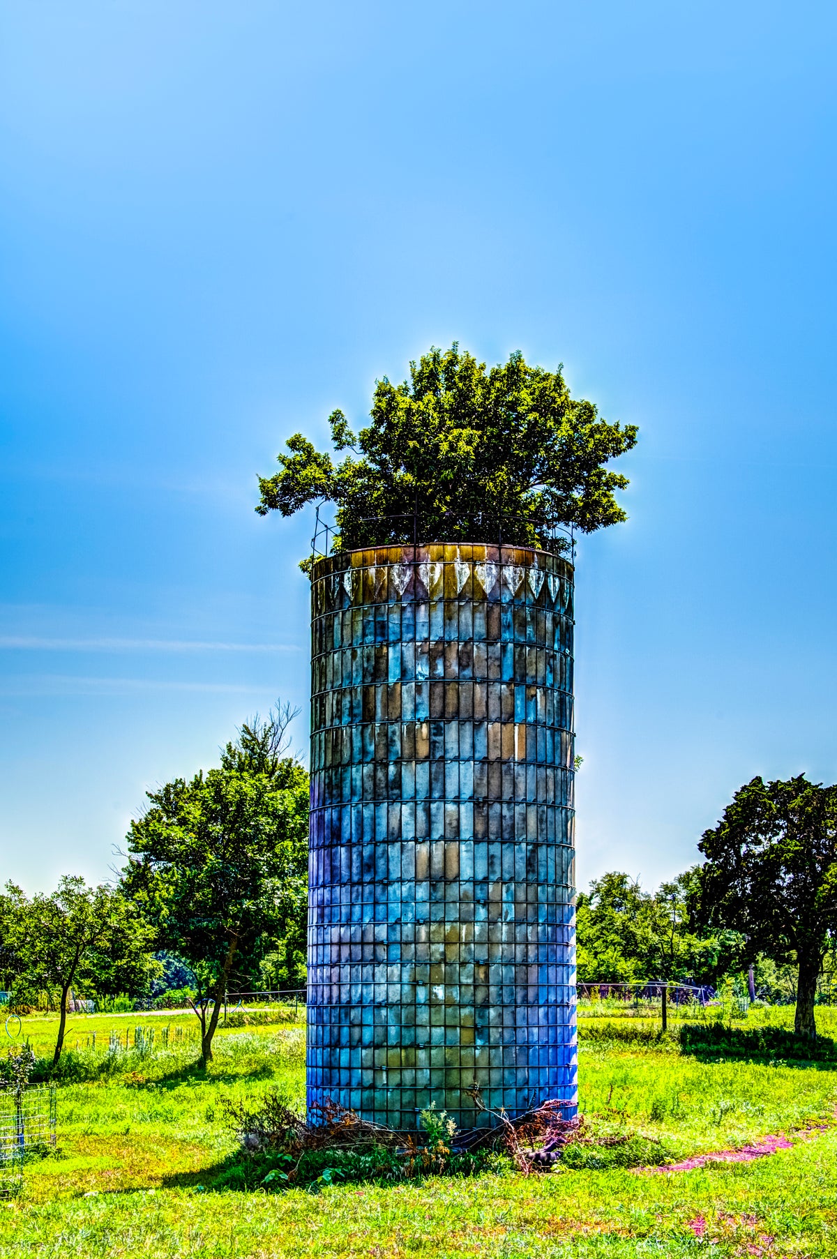 FH0183 - Elusive Silo Tree