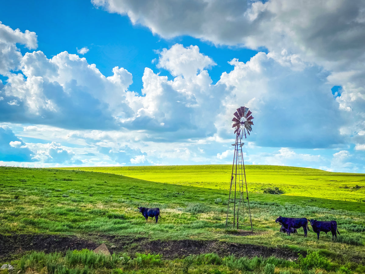 FH0188 - Gathered Around the Windmill