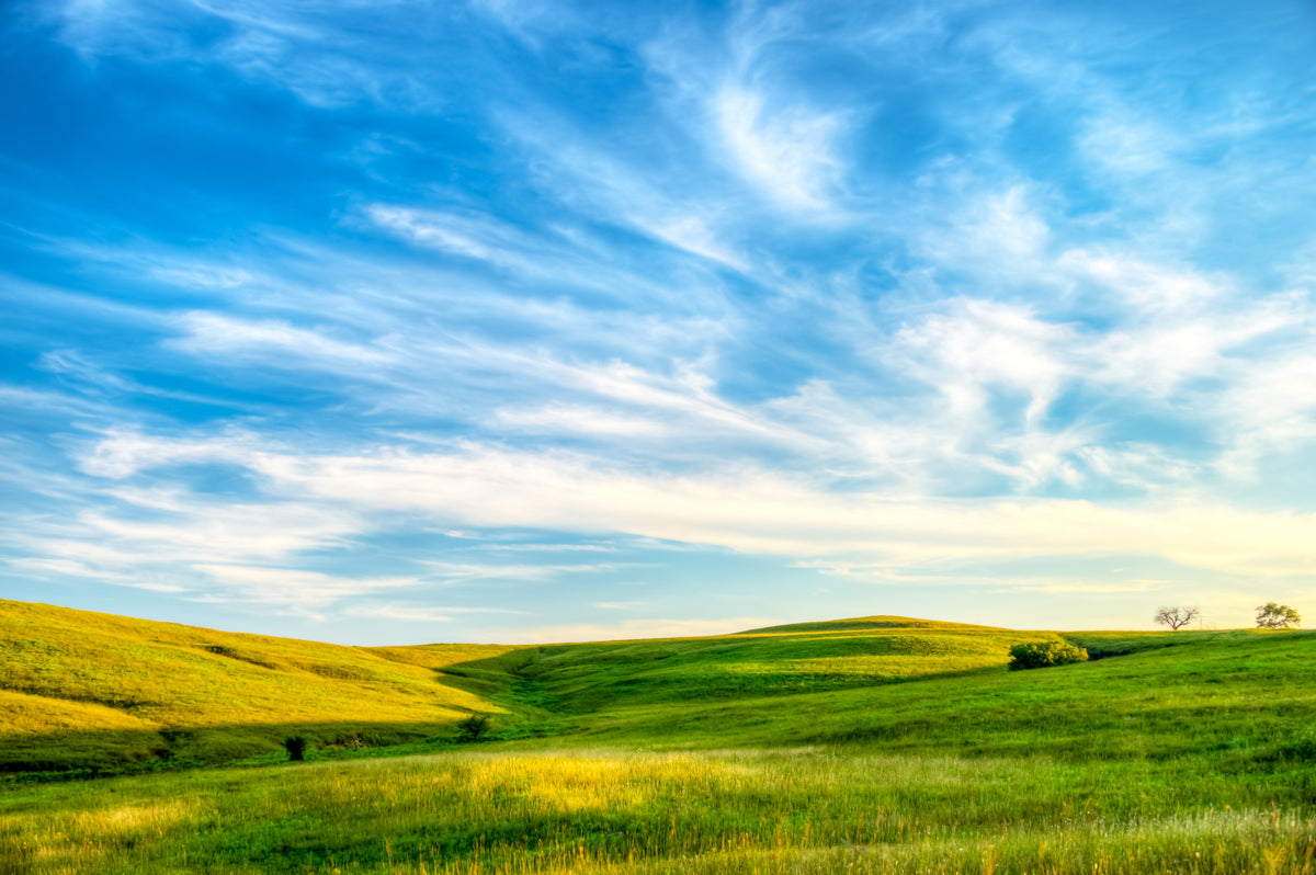 FH0189 - August Evening in the Grasslands