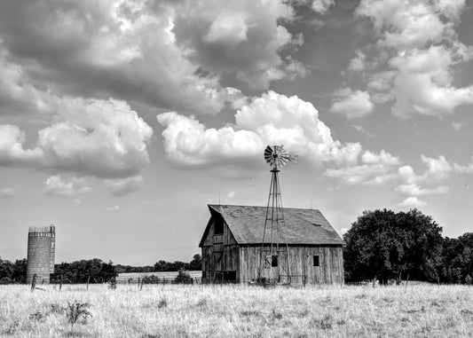 FR0003 - Still Standing Proud (B&W)