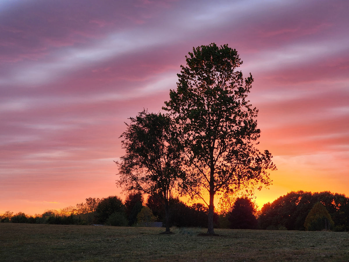FR0043 - Rainbow Colored Sunset
