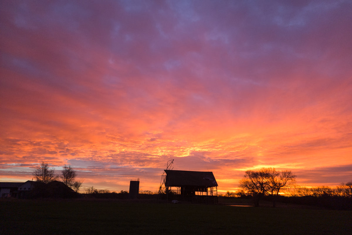 FR0050 - Winter Splendor at Sunrise