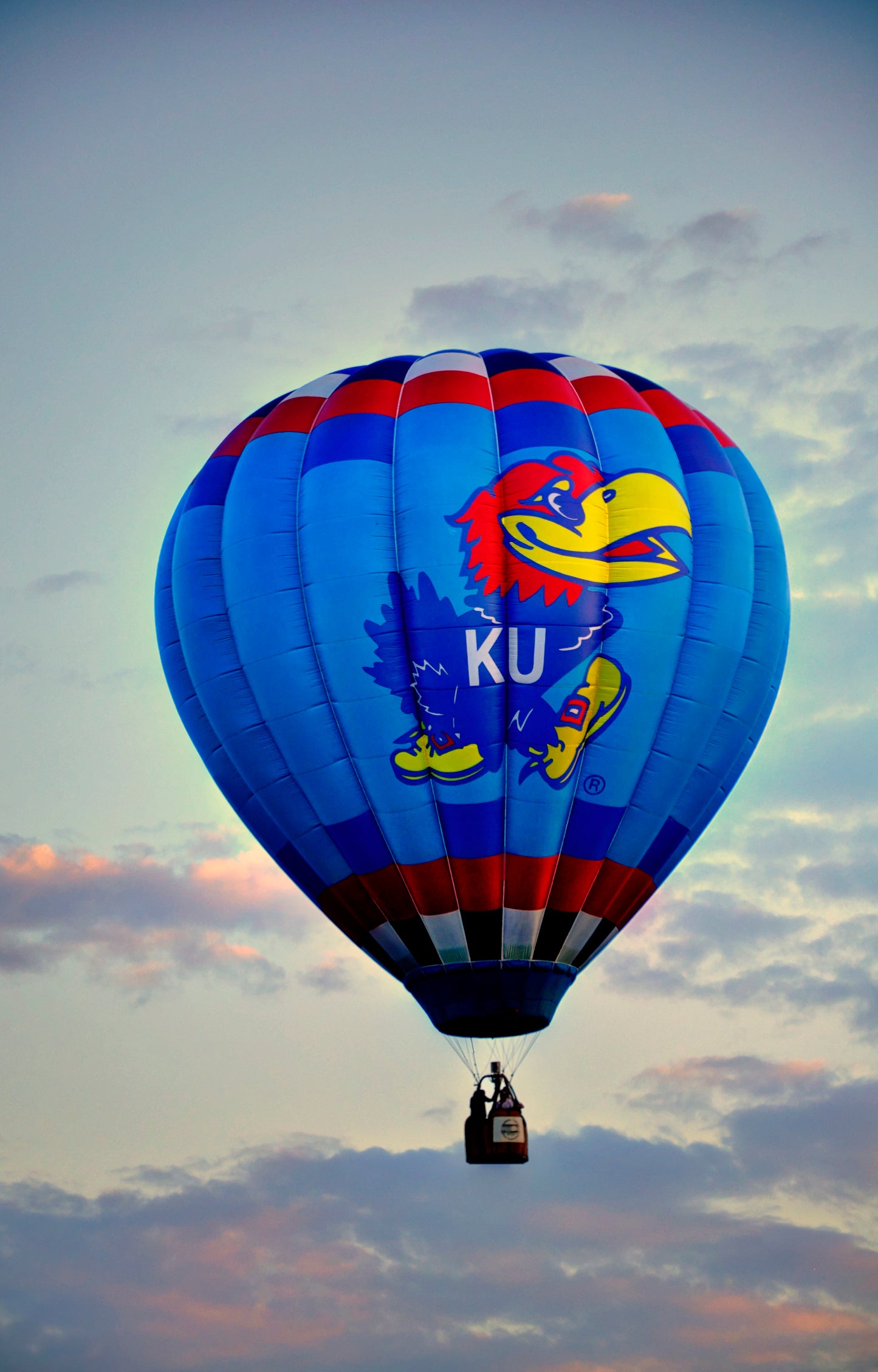 KU0007 - Air Hawk Soaring