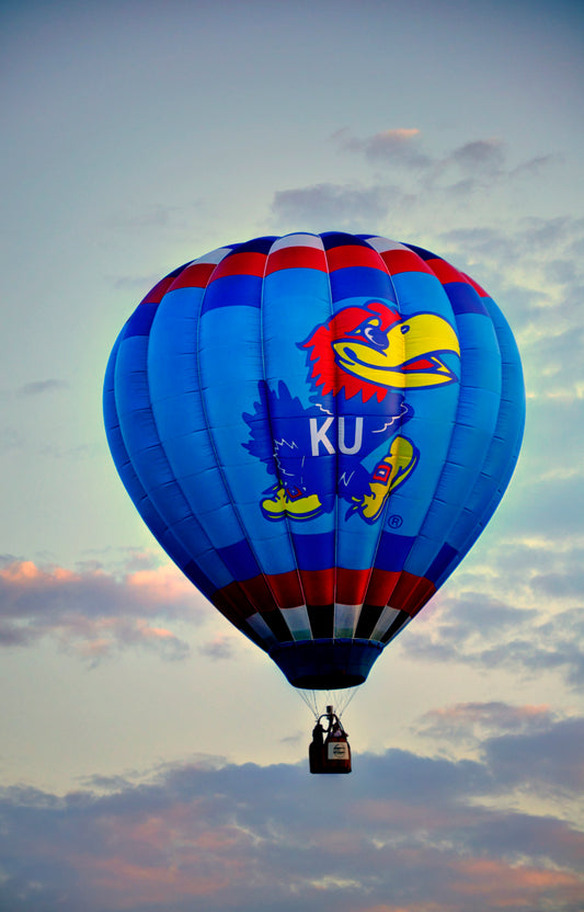 KU0007 - Air Hawk Soaring