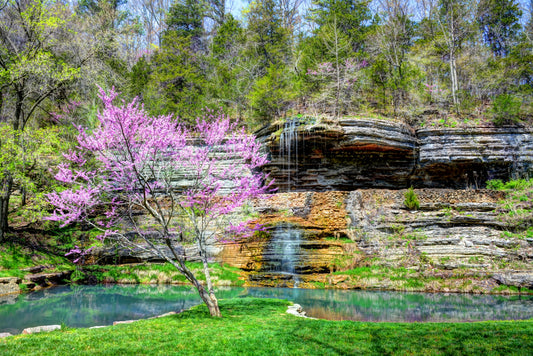 MO0001 - Redbud and Waterfall