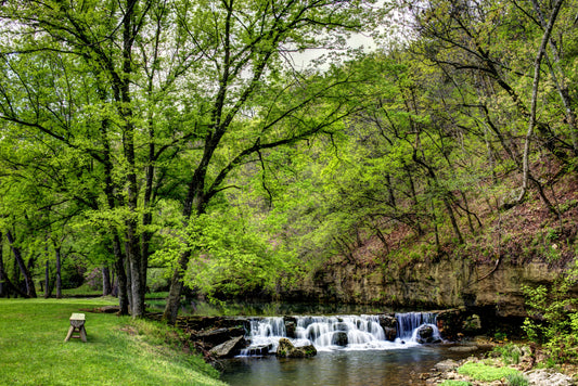 MO0012 - Dogwood Canyon Springtime