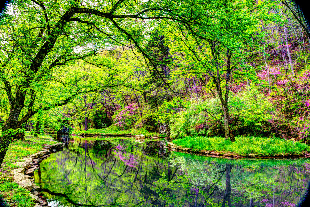 MO0013 - Spring Reflections in Dogwood Canyon