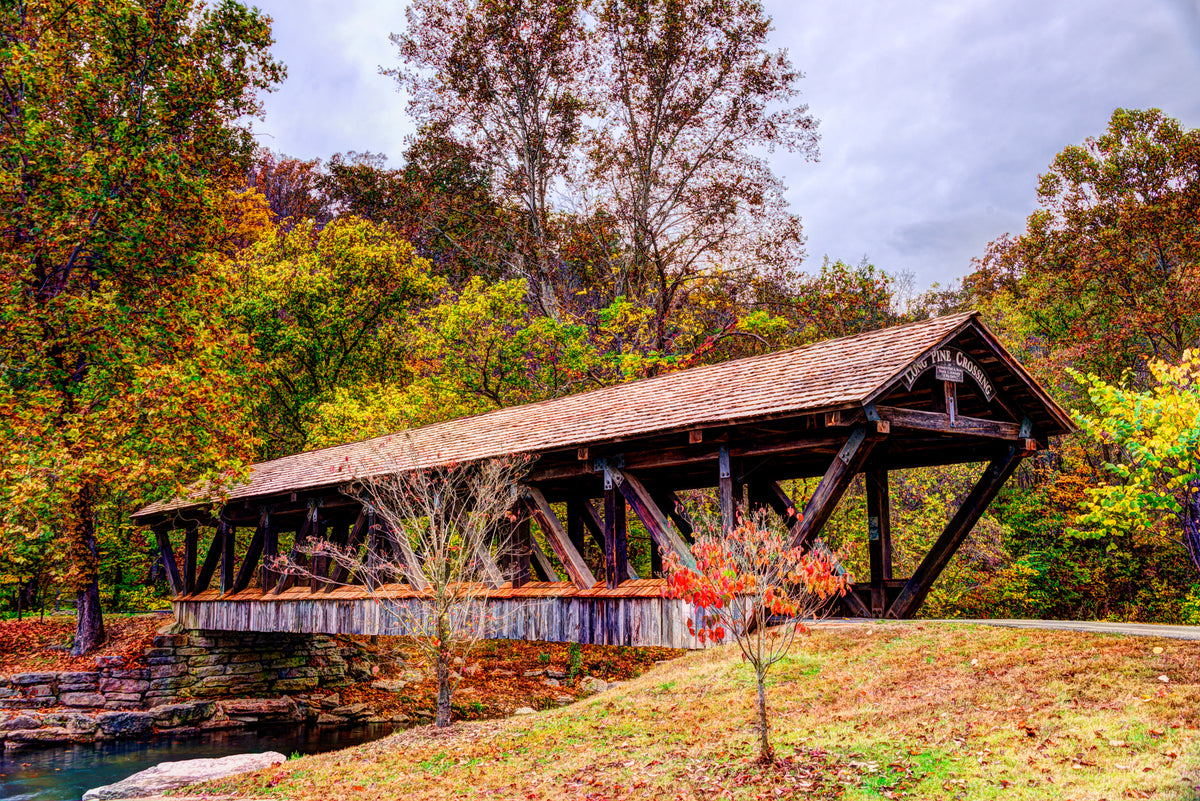 MO0024 - Long Pine Crossing in Autumn