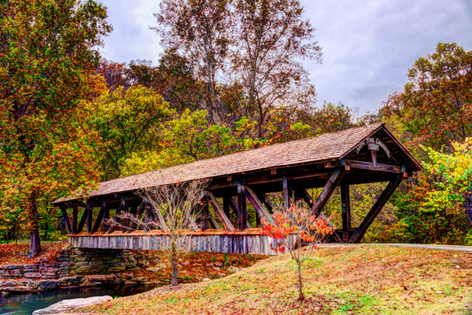 MO0024 - Long Pine Crossing in Autumn