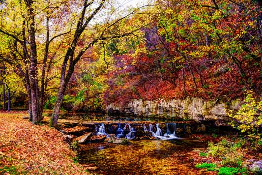 MO0025 - Colorful Autumn Stream in Dogwood Canyon